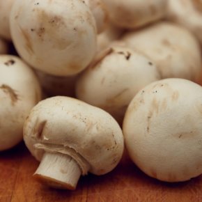 Hoe lang kun je bereide champignons bewaren?